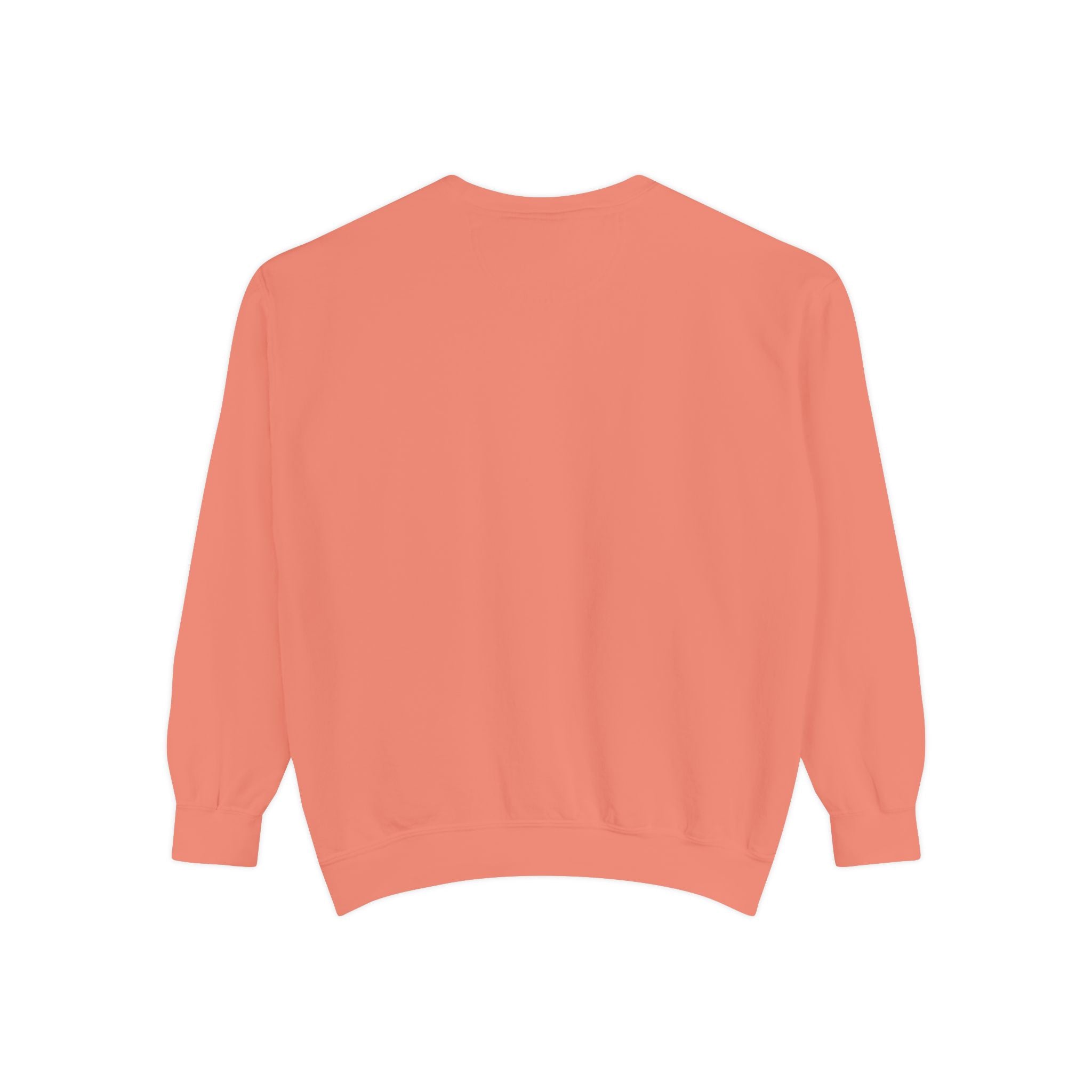 Business Owner Sweatshirt — “Occasionally Functioning” Cozy Crewneck