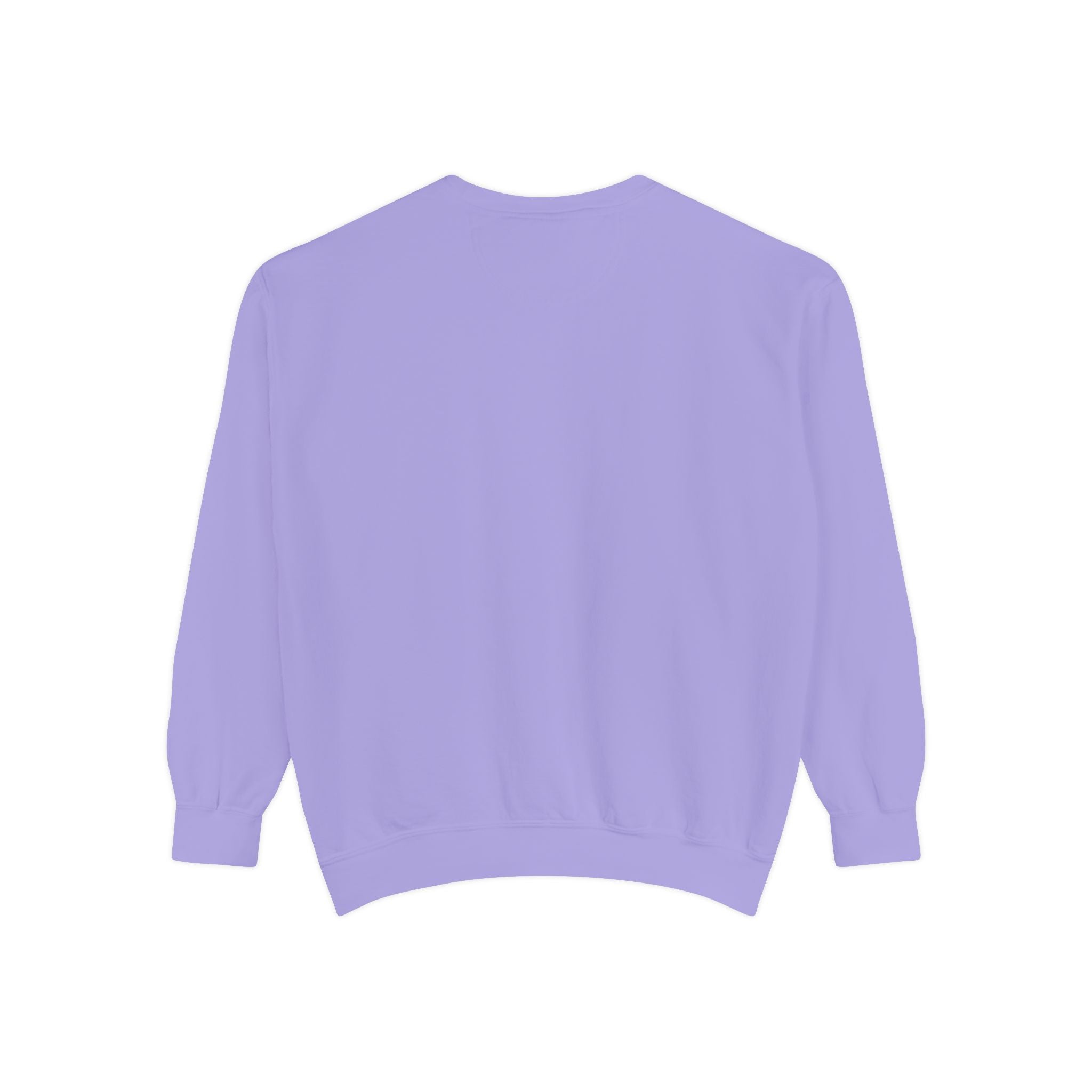 Business Owner Sweatshirt — “Occasionally Functioning” Cozy Crewneck