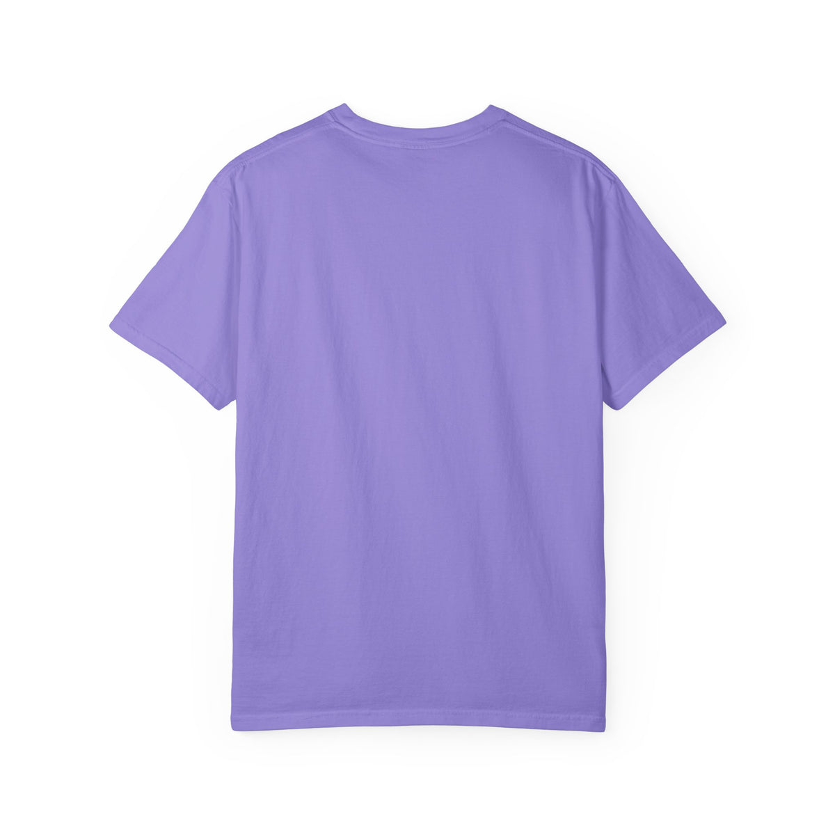 Blueberry’s Best Buddy T-Shirt — Cute Blueberry & Muffin Graphic Tee