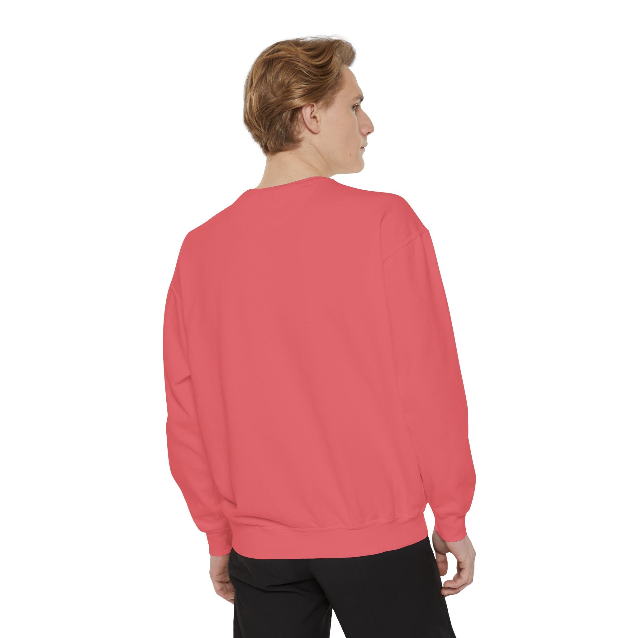 I came. I saw. I bought something. Sweatshirt