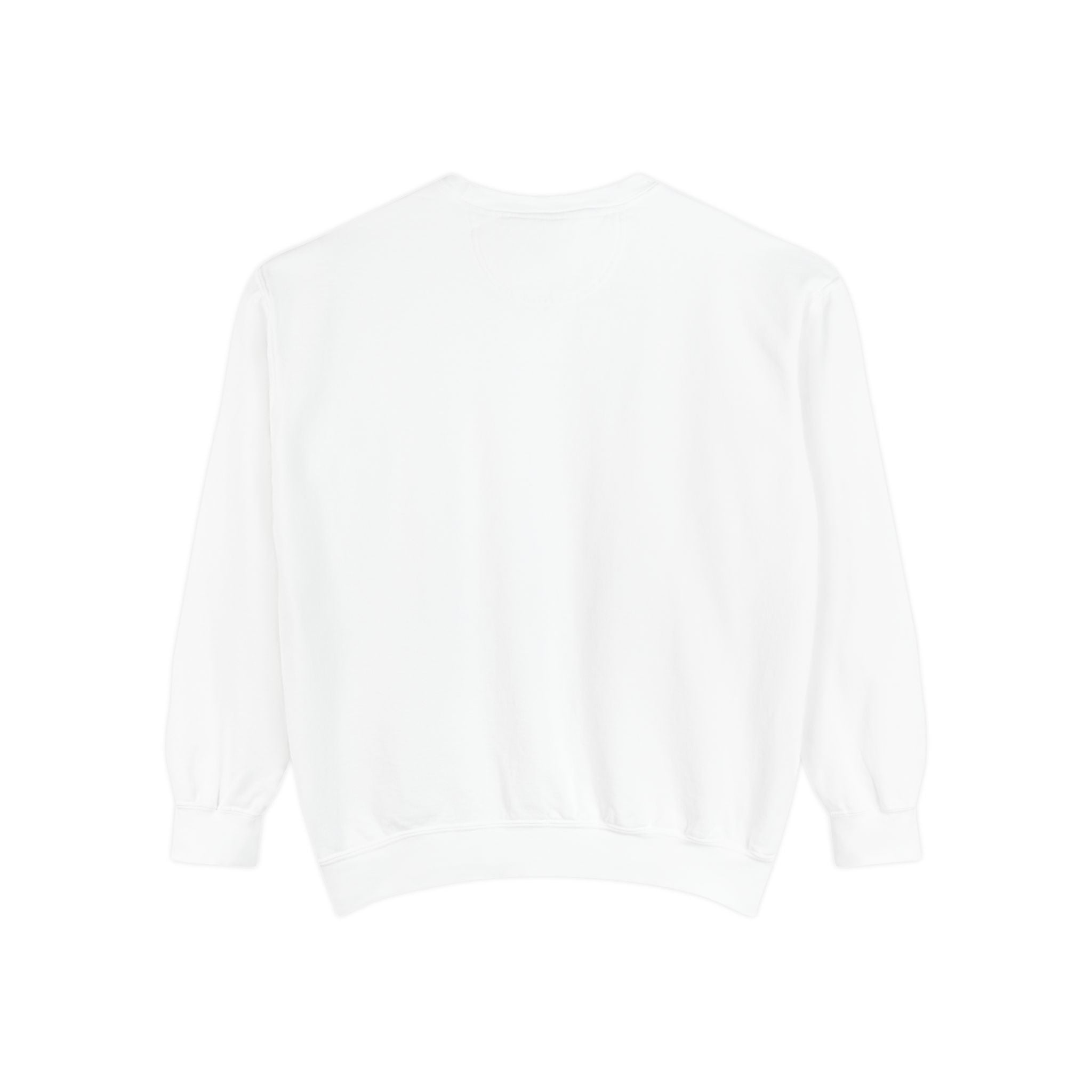 I came. I saw. I bought something. Sweatshirt